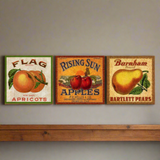 Colorful Fruit Signs