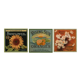 Handcrafted Set of 3 Vintage Fruit Signs