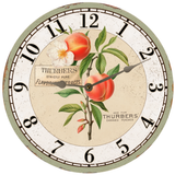 Peach Wall Clock - Silver Hands