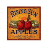 Set of 3 Vintage Fruit Crate Signs - 3