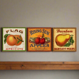 Set of 3 Vintage Fruit Crate Signs - 5