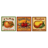 Set of 3 Vintage Fruit Crate Signs