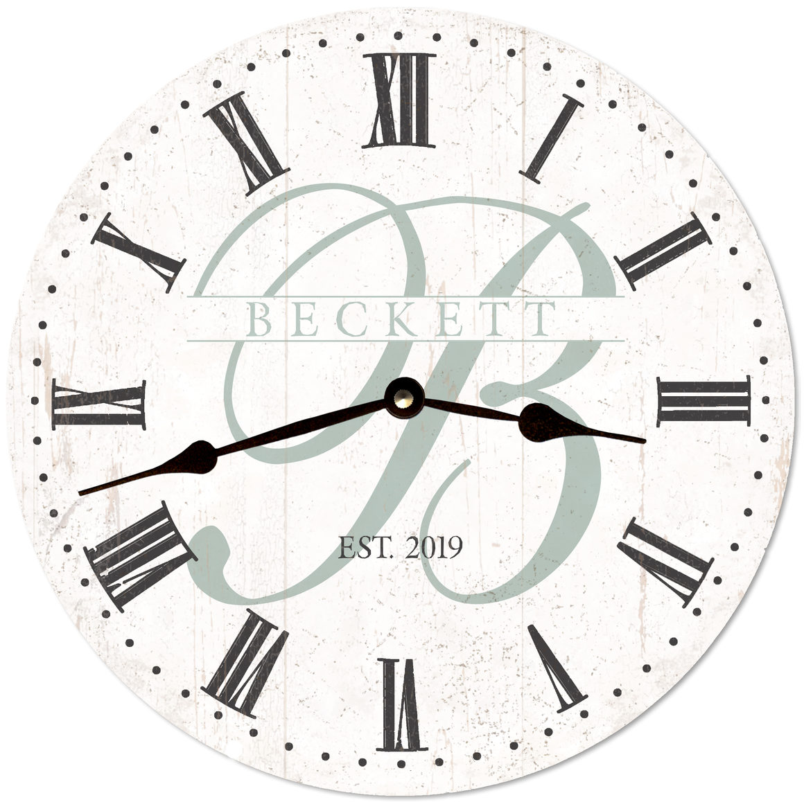 Time Flies Clocks