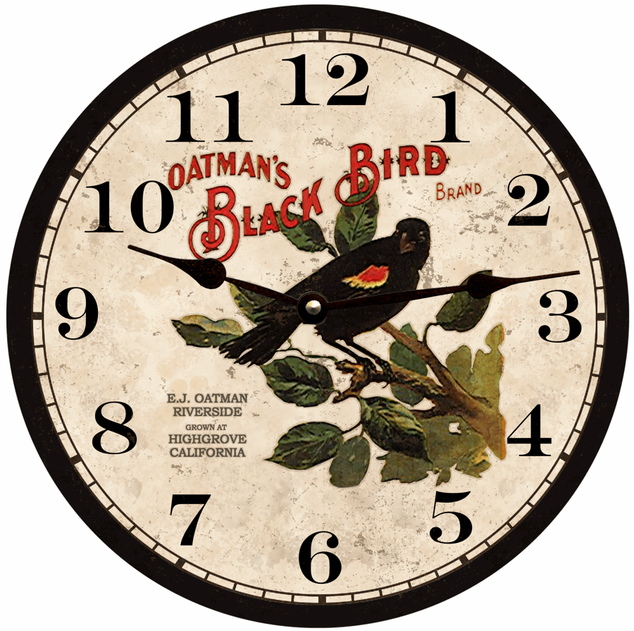 Black Bird Wall Clock – Time Flies Clocks